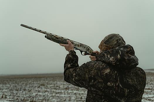 В Новосибирской области охотники смогут через «Госуслуги» получать разрешение на охоту