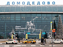 Торги по продаже аэропорта Домодедово не состоялись
