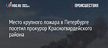 Место крупного пожара в Петербурге посетил прокурор Красногвардейского района