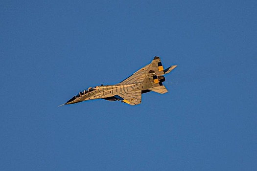 Появилось фото МиГ-29 ВСУ в необычной "тигровой" окраске