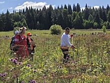 Турнир косарей, фестиваль трубочек и праздник китайской кухни привлекли тысячи туристов на Средний Урал в эти выходные