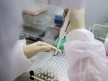 В Казахстане заявили о готовности разработать вакцину от коронавируса