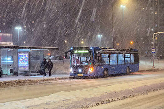 Бирюков: до 12 сантиметров снега может выпасть в Москве к 14 января