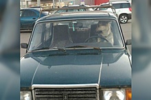 Злой водитель: ярославцы обсуждают фото собаки за рулём «семёрки»