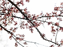 Волгоградские спортсменки рассказали, как проводят карантин