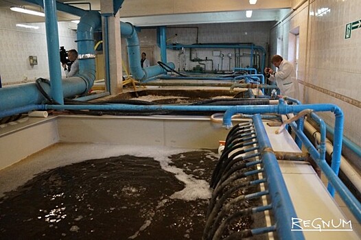 УФАС вынудил «Ярославльводоканал» расторгнуть договор с «Тортиллой»