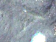 Аномальная зона найдена на Северном Урале