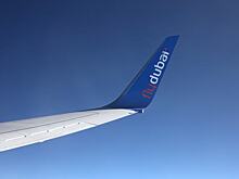 Генеральный директор Flydubai указал на преждевременность заявлений о причинах катастрофы