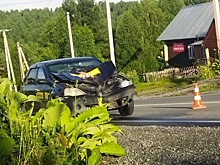 Автомобилист сбил корову на автодороге у кузбасского поселка