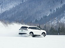 Гибридный Сhery Tiggo 9 испытали экстремальным холодом