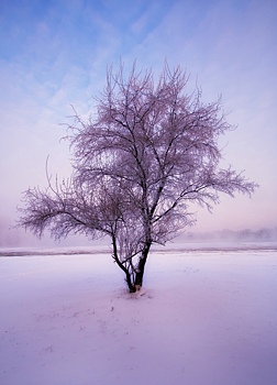 В Ростове ожидается понижение температуры до -7 &deg;C и гололед