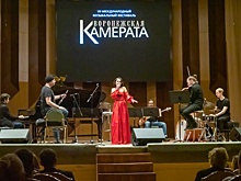 "Воронежская камерата" открыла публике новые грани классики и фолка