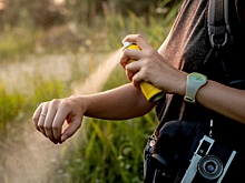 Эксперты предупредили об инфекциях, которые часто привозят из южных стран