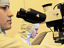 Как студенту попасть в крупнейшую физическую лабораторию мира