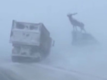 В Иркутской области в результате мощной метели произошла серия серьезных ДТП