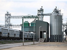 Россия открыла новый путь поставок зерна в Армению