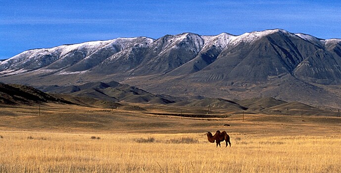 Медведев назвал регионы с низким развитием