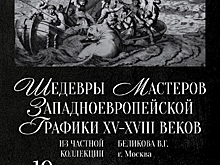 В Курске с 19 января откроется выставка гравюр Дюрера и Пиранези