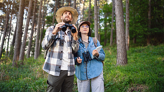 Внимание, сейчас вылетит птичка! Что такое бёрдвотчинг и как им заниматься
