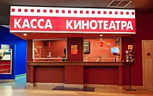 Совфед разрешил кассирам в кинотеатрах требовать паспорт