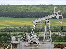 Дума одобрила снижение дисконта нефти Urals до $20 при налогообложении