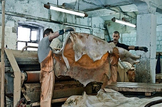 Стало известно, почему в Дагестане закрыли завод по выделке шкур