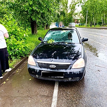 Упавшая ветка дерева разбила лобовое стекло автомобиля в Новокузнецке