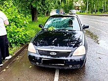 Упавшая ветка дерева разбила лобовое стекло автомобиля в Новокузнецке