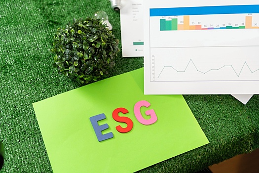 Москва и Санкт-Петербург стали лидерами в России по внедрению ESG-принципов