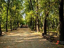 ​В тюменской Гилевской роще завершилось благоустройство после разлива нечистот