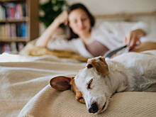 «Сонный туризм» вошел в пятерку ключевых слов в индустрии путешествий