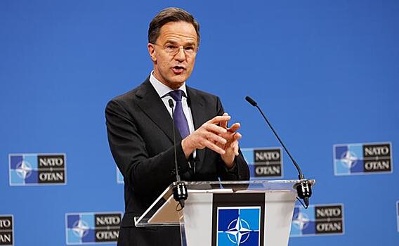 Университет бундесвера смоделировал возвращение Прибалтики в состав России