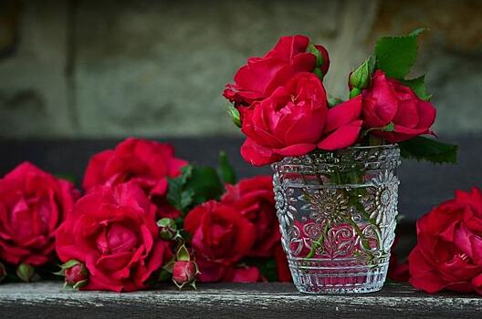 Дороговизна импортных роз не помешает россиянам купить в 10 раз больше цветов к 8 марта