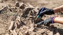 Палеонтология и археология: спрятанные смыслы в земле и камне