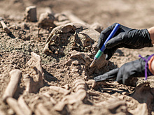 Палеонтология и археология: спрятанные смыслы в земле и камне