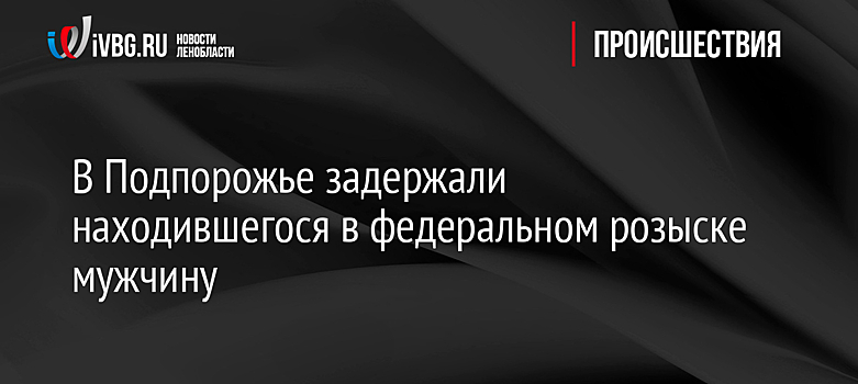 В Подпорожье задержали находившегося в федеральном розыске мужчину