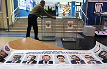 Что будут делать россияне в день выборов