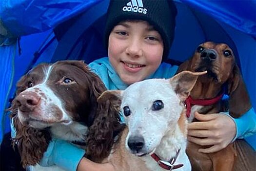 Подросток проспал 542 ночи в палатке ради помощи бездомным собакам