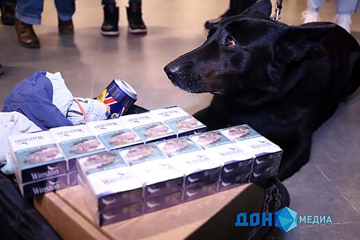 Ростовские торговцы контрабандным табаком научились уходить от ответственности