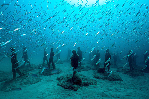 "Общество на дне": чем интересен подводный музей
