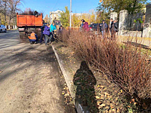 В городах и селах Самарской области идет озеленение улиц