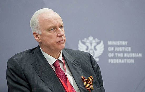 Бастрыкин: в РФ создали программу для построения портрета серийного преступника