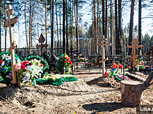 В Свердловской области не нашлось желающих построить кладбище за 20 млн