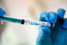 После вакцины «ЭпиВакКорона» иммунитет держится год