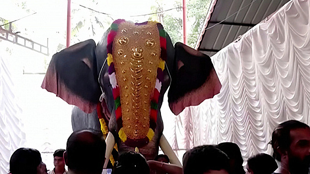 В индийском храме установили восьмисоткилограммового механического слона