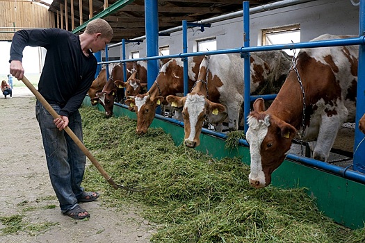 В России утвердили новые правила по борьбе с блютангом