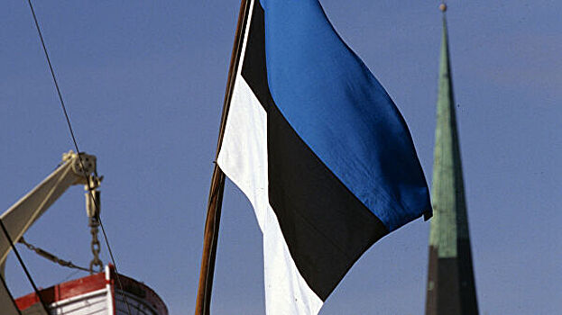 Депутаты в Эстонии выступили против установки памятника эсэсовцам