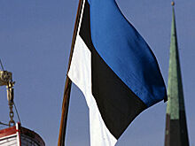 Депутаты в Эстонии выступили против установки памятника эсэсовцам