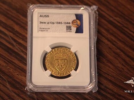 В Москве нашли похищенные во Франции старинные монеты