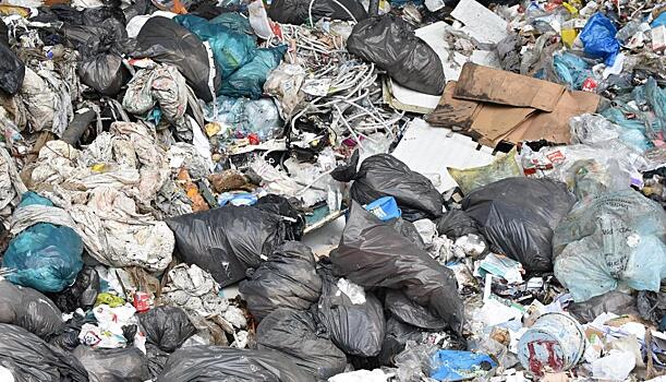 Свыше 400 жалоб на плохую работу мусорного регоператора НЭО оставили петербуржцы на портале Смольного